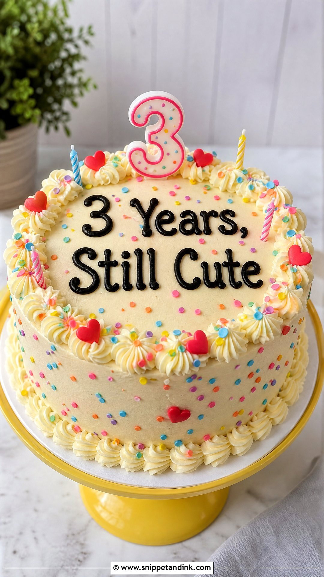 3 Year Anniversary Funny Cake - Snippet and Ink - 25 3 Year Anniversary Cake Ideas