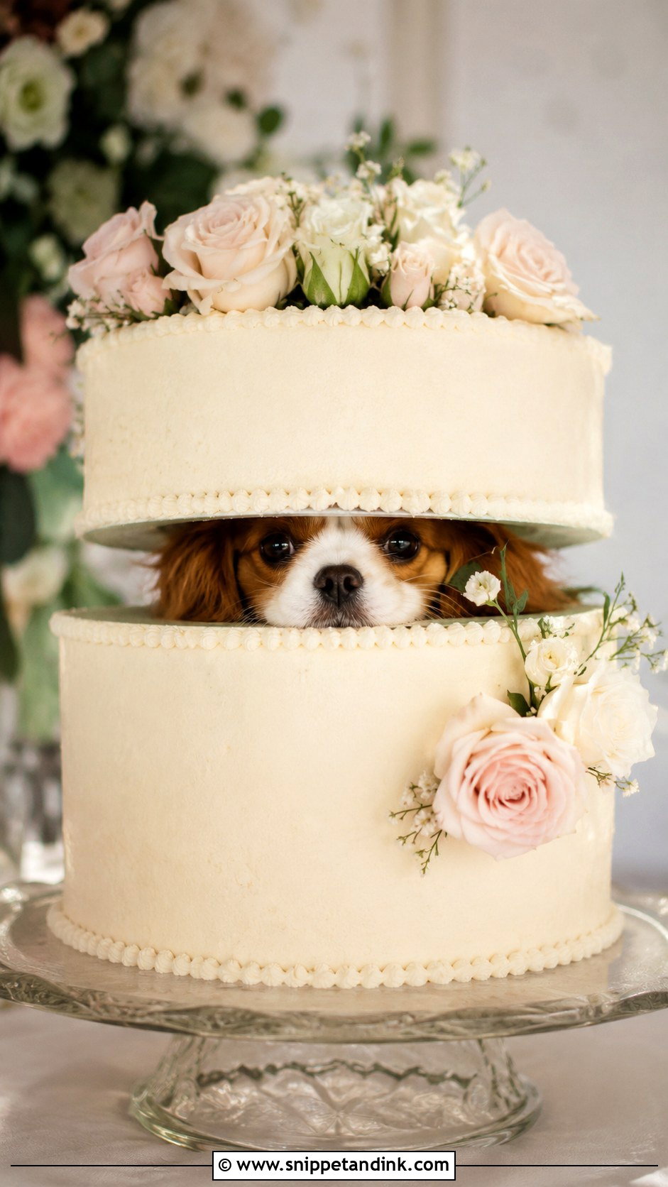 Dog Peeking Between Cake Tiers - Snippet and Ink - 20 Wedding Cake Dog Peeking Ideas