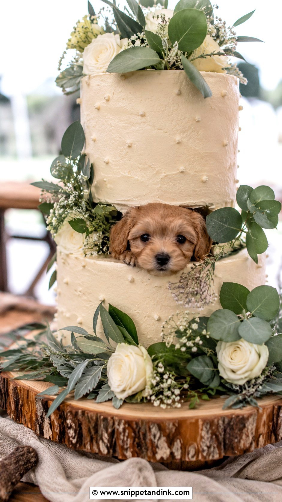 Dog Peeking From Rustic Wedding Cake - Snippet and Ink - 20 Wedding Cake Dog Peeking Ideas