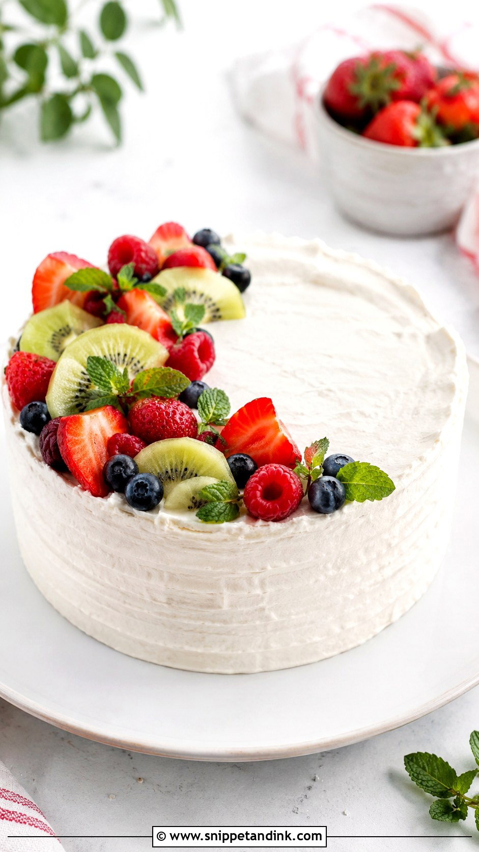 Fresh Fruit Cake - Snippet and Ink - 20 How to Decorate Cakes for Beginners