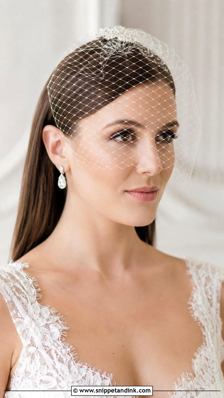 Straight Hair With Birdcage Veil - Snippet and Ink - 25 Hair Down with Veil Ideas